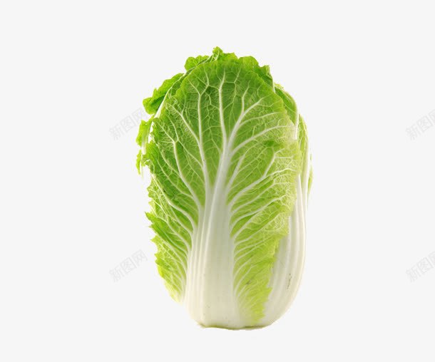 白菜png免抠素材_88icon https://88icon.com 健康蔬菜 摄影 植物 白菜 白菜图片免费下载 绿色蔬菜 美味蔬菜 营养蔬菜 蔬菜