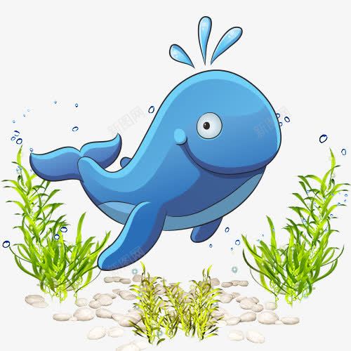 海豚卡通海洋生物海洋世界png免抠素材_88icon https://88icon.com 卡通 卡通素材 可爱 手绘画 插画设计 气泡 海洋世界 海洋动物 海洋生物 海洋背景 海洋馆 海草 海葵图片 海豚
