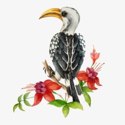 欧式无框画手绘水彩鸟类高清图片