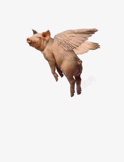 高空飞翔会飞的猪高清图片