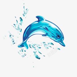 水元素的海豚素材