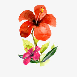 热带花卉矢量图素材