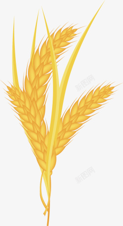 秋天稻穗卡通小麦矢量图高清图片