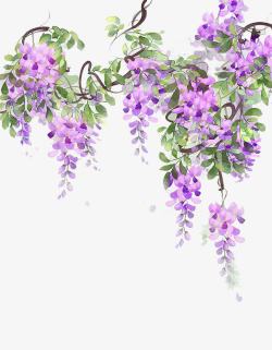 紫色花朵手绘大片紫藤高清图片