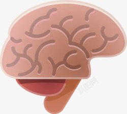 人体脑补大脑器官素材