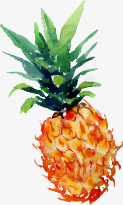 水彩菠萝水彩手绘凤梨矢量图高清图片