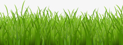 生机勃勃草地春天茂盛的小草丛高清图片