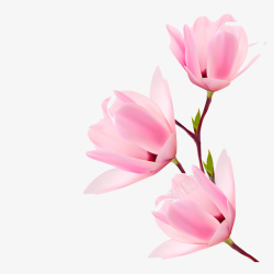 粉色清新花朵装饰图案素材