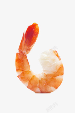 简单素雅美味美食红虾仁图素材