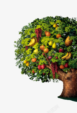 长满蔬果的大树创意金融商业企业文化元素高清图片
