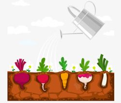 洒水壶抽象设计菜园被浇水的蔬菜矢量图高清图片