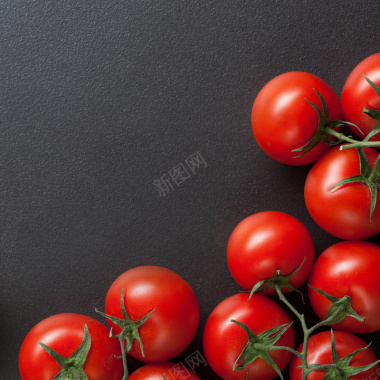 新鲜红色番茄背景摄影图片