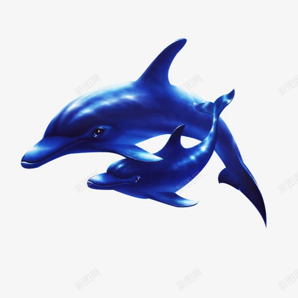 海底海豚png免抠素材_88icon https://88icon.com 海底世界 海底素材 海洋生物 海豚 热带鱼