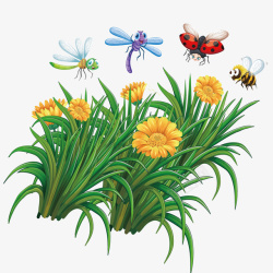 昆虫蜻蜓鲜花蜜蜂高清图片