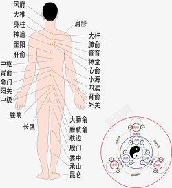 人体经络空位图人体背部穴位经脉矢量图高清图片