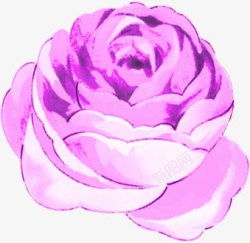 手绘紫色玫瑰展板素材