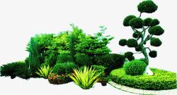 绿色树林植物装饰素材