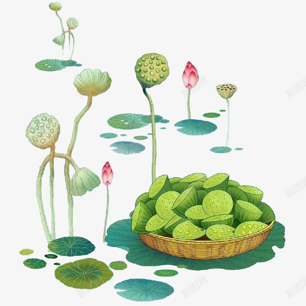 卡通创意植物psd免抠素材_88icon https://88icon.com 传统节气 创意 处暑 彩绘 手绘 植物设计 绿色 莲花