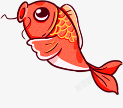 鲤鱼锦鲤小红鱼素材