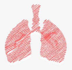 润肺止咳关注肺健康公益高清图片