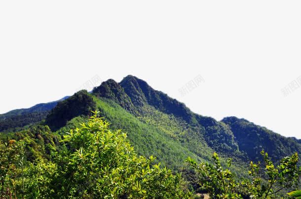 重庆永川茶山竹海风景矢量图eps免抠素材_88icon https://88icon.com 山水 旅游 重庆 风景 矢量图