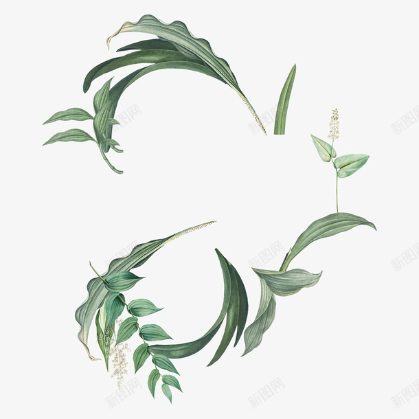 手绘简约花纹背景png免抠素材_88icon https://88icon.com 手绘 背景 花卉 花纹