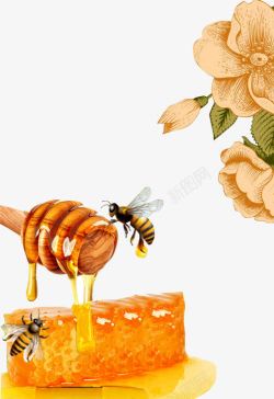 蜂蜜沾棒蜜蜂蜂蜜高清图片