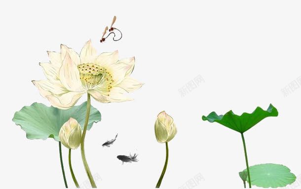 荷花png免抠素材_88icon https://88icon.com 夏日上新 夏日清新 手绘 特惠模板 荷花