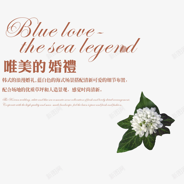 唯美的婚礼文字矢量图eps免抠素材_88icon https://88icon.com 唯美 婚庆 婚礼 白色 矢量图