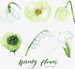 白绿色精美春天花朵素材