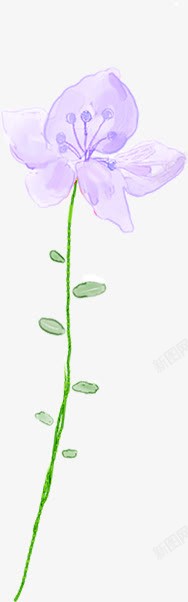 手绘紫色淡彩花卉展板素材