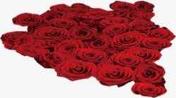 红色玫瑰婚纱展板素材