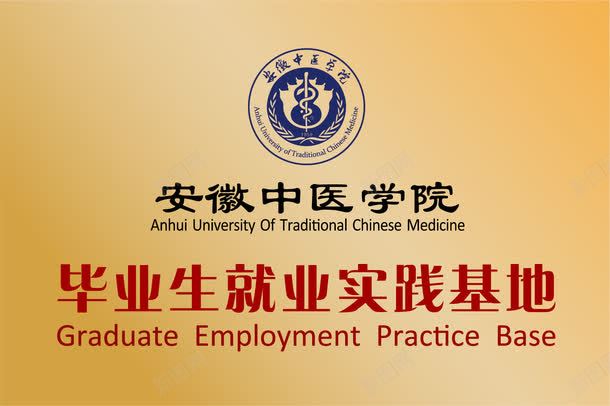 实践基地png免抠素材_88icon https://88icon.com 企业铜牌 合作铜牌 荣誉铜牌 铜材质 铜牌模板 铜钱底纹