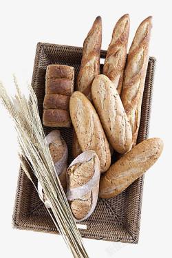 篮子里的麦穗与面包素材