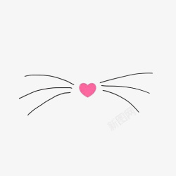 粉色猫咪猫咪胡须高清图片