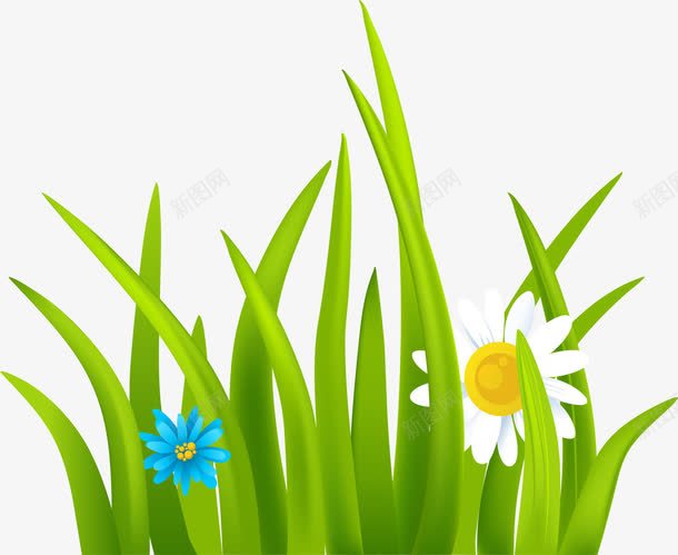 大自然绿色草丛草地png免抠素材_88icon https://88icon.com 大自然 白色小花 绿色小草 绿色草丛 绿色草地 菊花