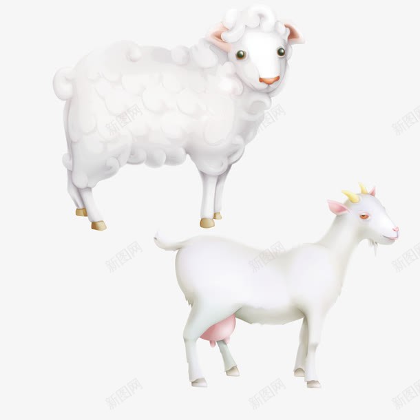 山羊和绵羊png免抠素材_88icon https://88icon.com 卡通 奶羊 小白羊 山羊 手绘 矢量羊 绵羊