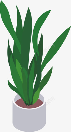 绿植图片下载盆栽植物高清图片