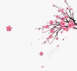 水墨画桃花粉红色手绘桃花枝花瓣装饰图案高清图片