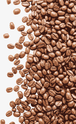 手绘棕色咖啡豆咖啡素材