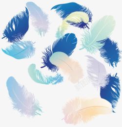 斑斓彩色羽毛高清图片