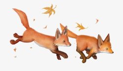 两只狐狸追逐的狐狸高清图片