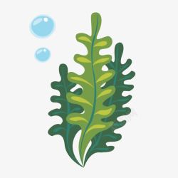 河湖绿色海草泡泡植物高清图片