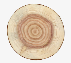 圆心卡其色波纹状中心的木头截面实物高清图片