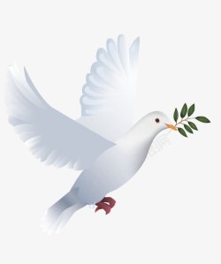 手绘翅膀素材白色叼着橄榄枝的和平鸽高清图片