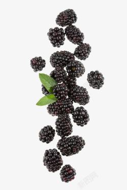 水果酵素新鲜的桑葚高清图片