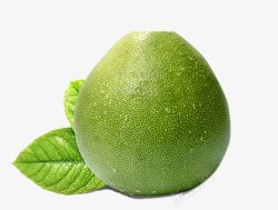 健康绿色水果柚子素材