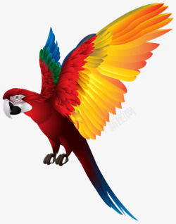 仿真彩色鹦鹉彩色羽毛的鹦鹉高清图片