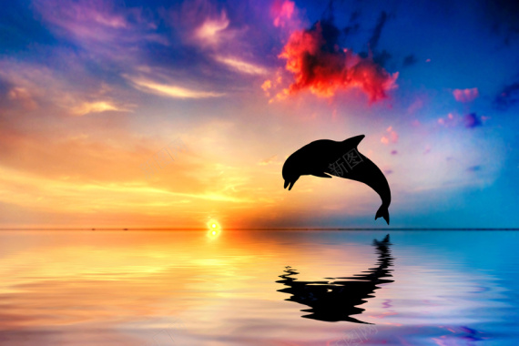 夕阳美景海豚跳跃企业宣传册背景背景