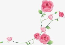 蓝色美丽的花朵粉色玫瑰高清图片